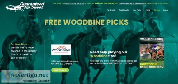 Woodbine Picks - Free Woodbine Horse racing tips