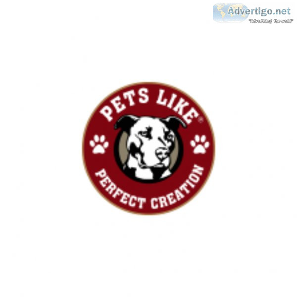 Dogs Cumer Belt