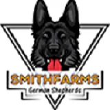 German shepherd puppies for sale - Healthy and Adorable Pups