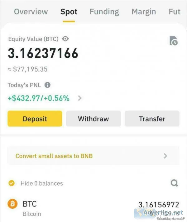 Invest in bitcoin and ethereum