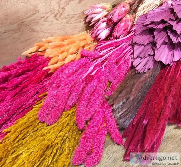 Buy Dried Pampas Grass Online in UK-Dried Flowers and Decor