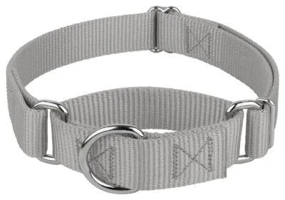 Pros of Buying Adjustable Dog Collars