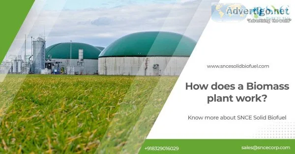 How does a biomass plant work? know more about snce solid biofue