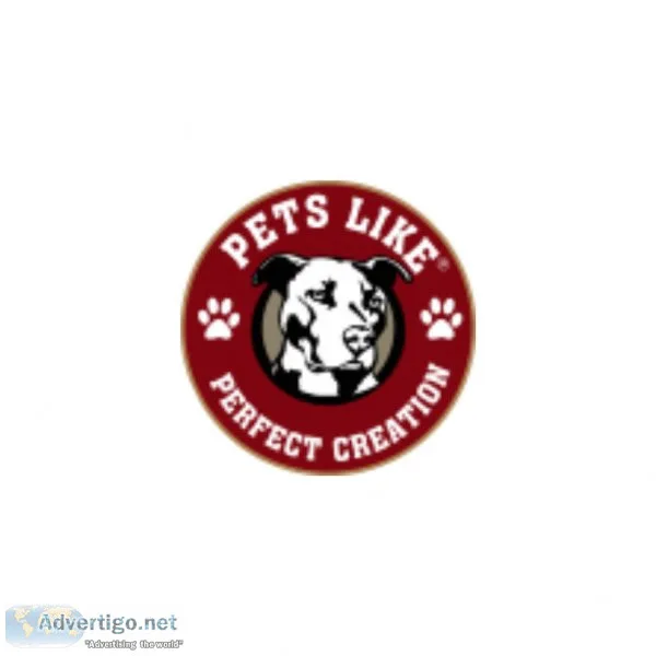 Elizabethan Collar for Cats