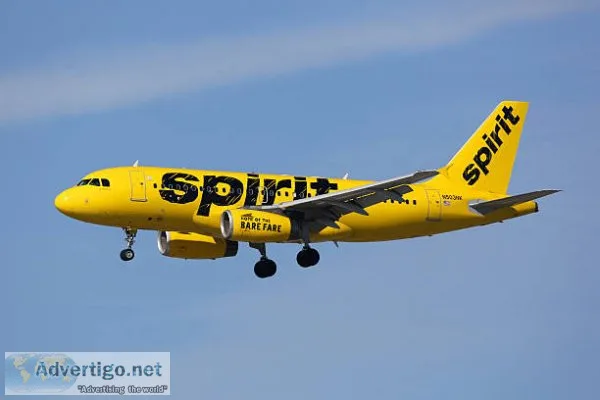 Spirit airlines reservations