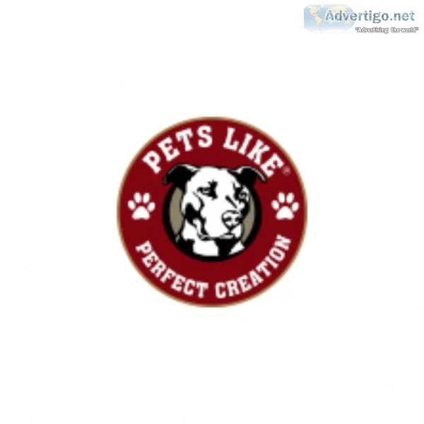 Dog Neck Cone