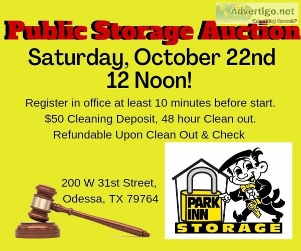 Public Self Storage Auction