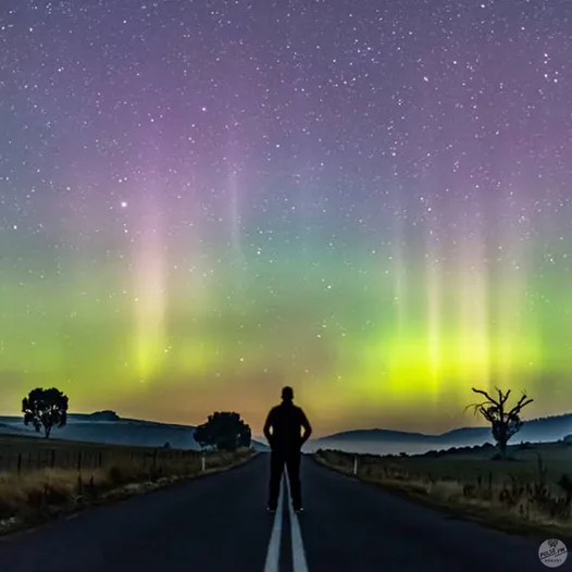 Tasmania trips to do amazing activities