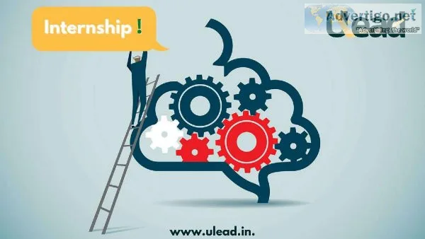 Ways to Know Before Going For Online Internship