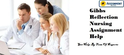 Gibbs Reflection Nursing Assignment Help