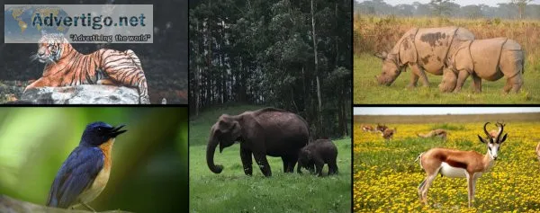 Malai Mahadeshwara Wildlife Sanctuary