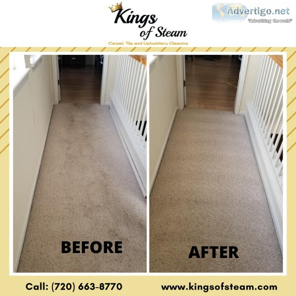 Quality Carpet Cleaning In Castle Rock CO