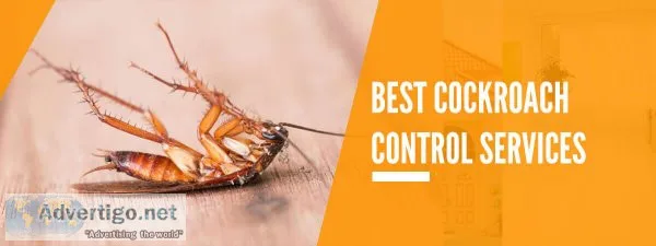 Cockroach control service in hyderabad