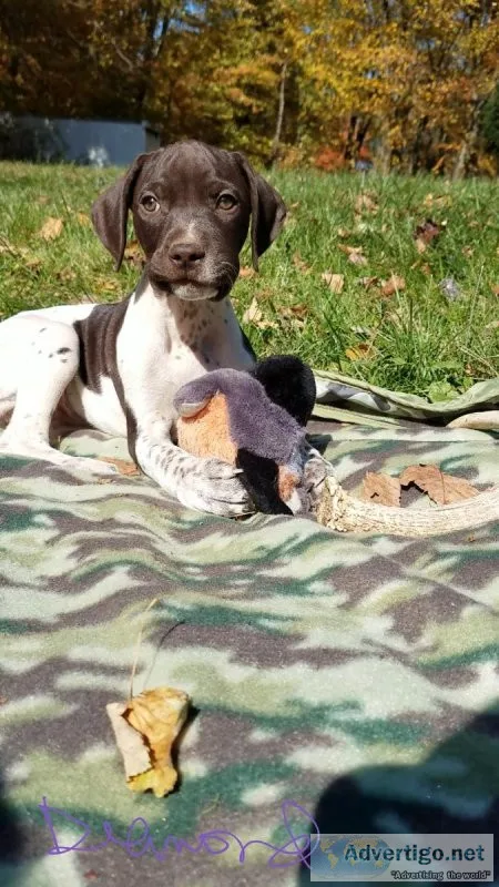 Registered GSP