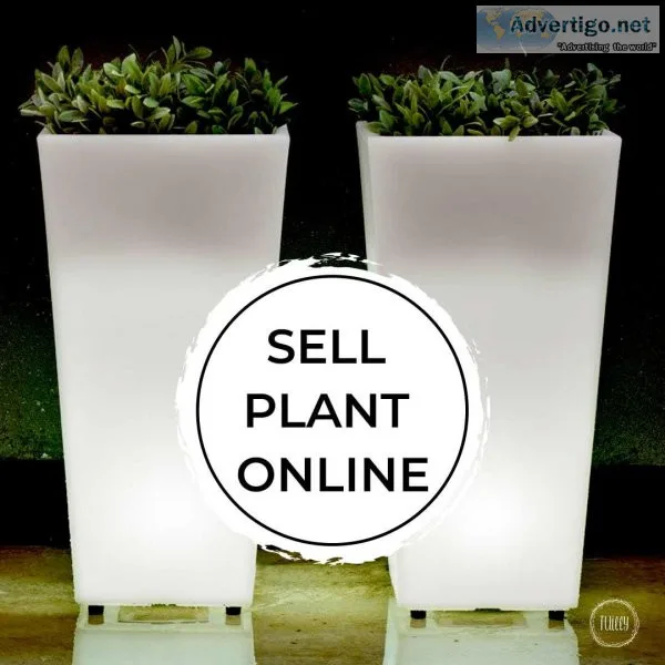 Sell Plant Online