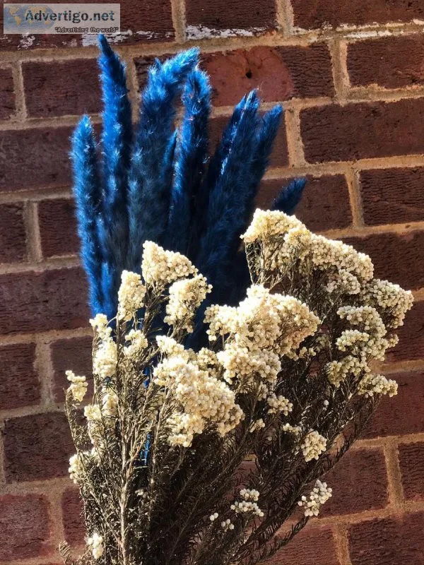 Online store for  Dried Flowers in Bulk - Dried Flowers and Deco