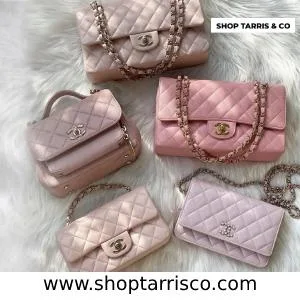 Buy Designer Handbags on Consignment  Shop Tarris and Co