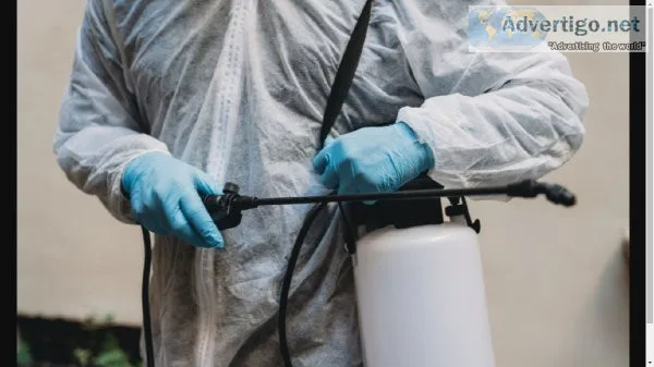Pest Control Adelaide
