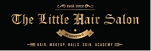 Manicure pedicure in pune - little hair salon pune