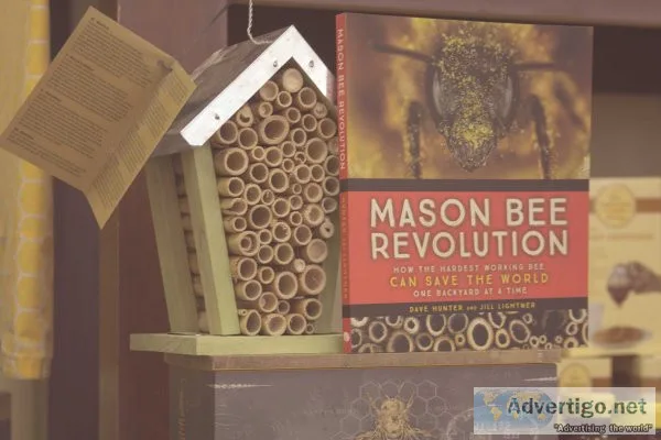 The bee store