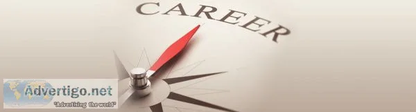 Looking for career counseling and guidance to find your best car
