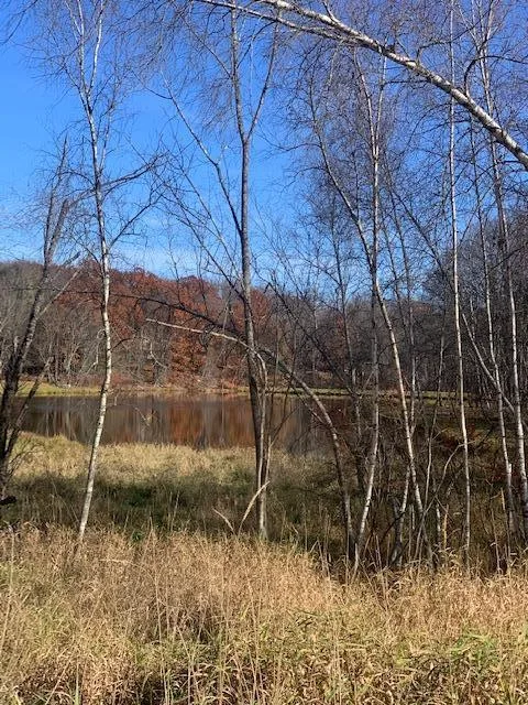 Water View Building Lot - Wallenpaupack Lake