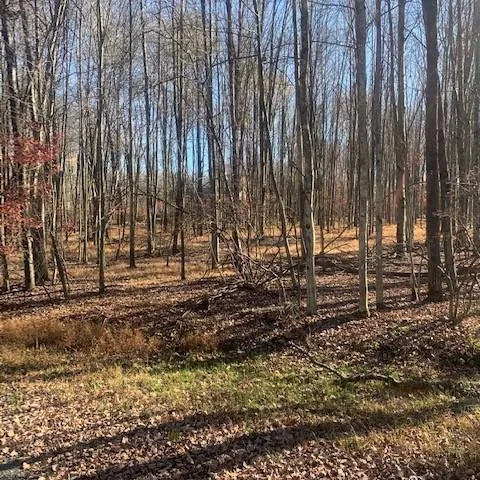 Lake Wallenpaupack  Ready to Build Lot For Sale (373 Osprey Cir 