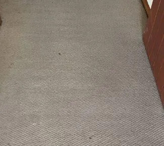 Floor Polishing Auckland - 0800 002181