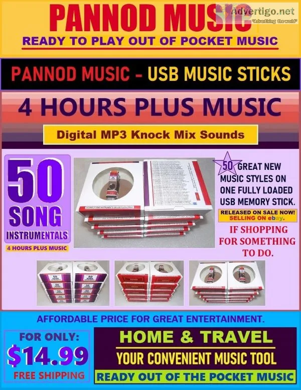 50 SONG INSTRUMENTALS on USB MEMORY STICK - MUSIC