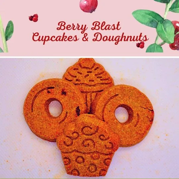 Berry Blast Cupcakes and Donuts