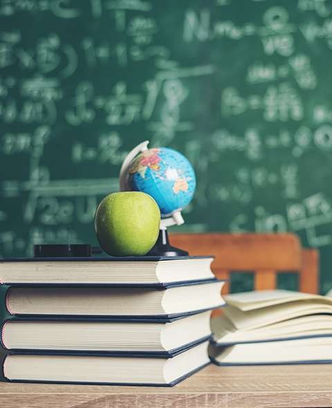 A level schools in kochi - global public school