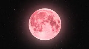 Get your career related doubts clear with shrimali astrologer