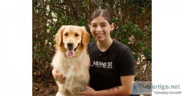 Sit means sit cibolo dog training