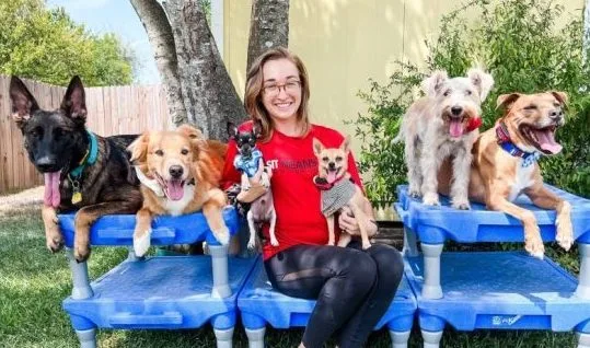 Sit means sit cibolo dog training