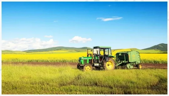 Zhongtai import & export co, ltd