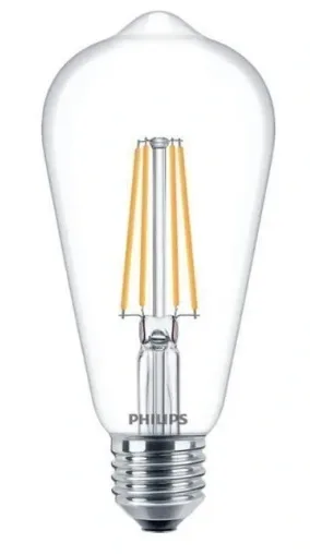 Buy phrenology head lamp at cheapest price