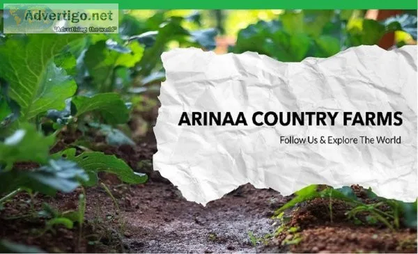 Reach us and explore the real beauty of arinaa country farm land