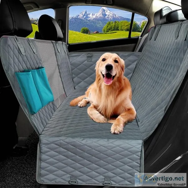 dog bed in the car