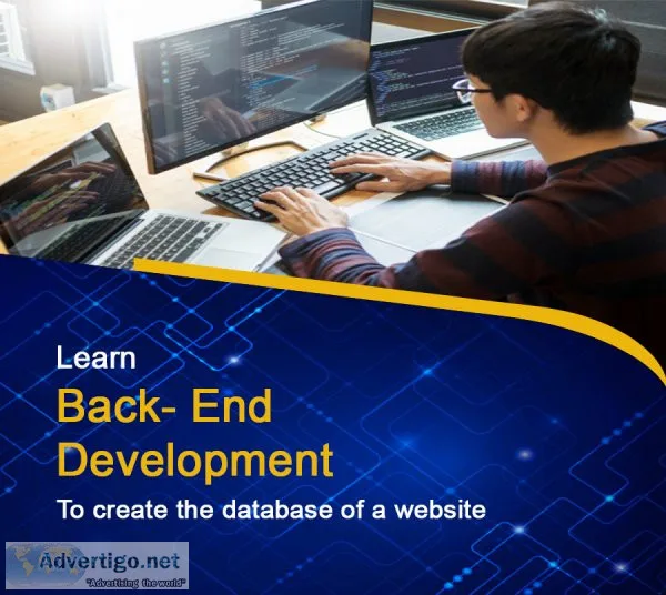 Web development course in delhi
