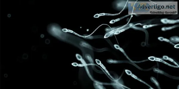 Dr niren rao offers the best infertility treatment in delhi