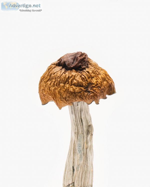 Buy african aphrodisiac online