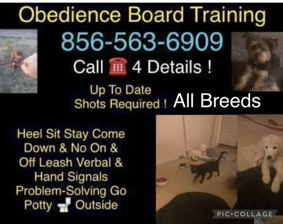 K9?s that need control