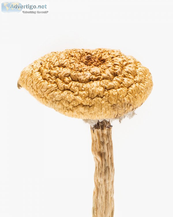 Buy african aphrodisiac online