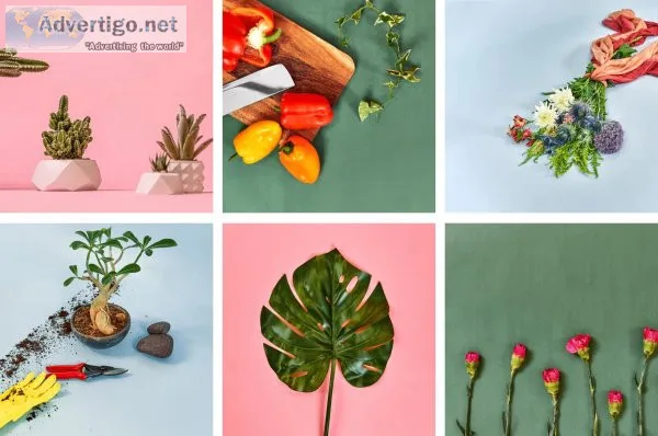 Order flowers & plant online - farmerr