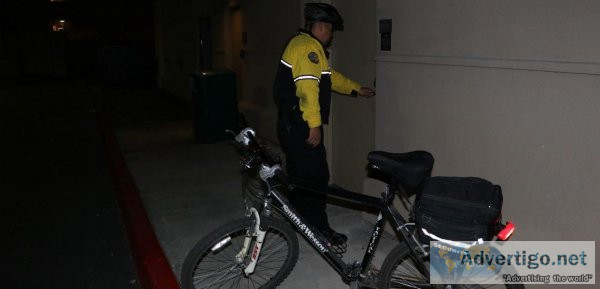Vehicle Patrol Security Guard