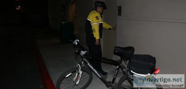 Vehicle Patrol Security Guard