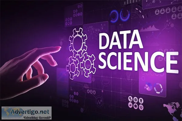Become data scientist in 5 months