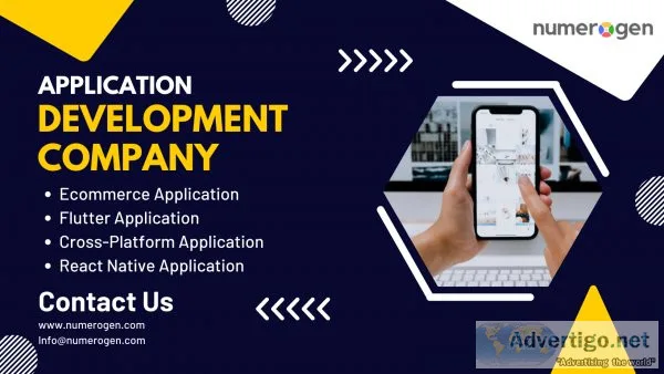 Professional web/mobile app development company in himachal prad