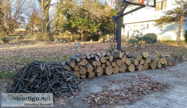 Firewood