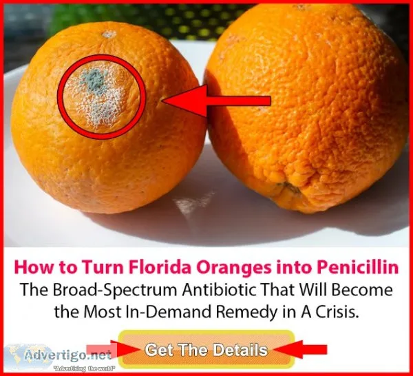 Make your own antibiotics at home